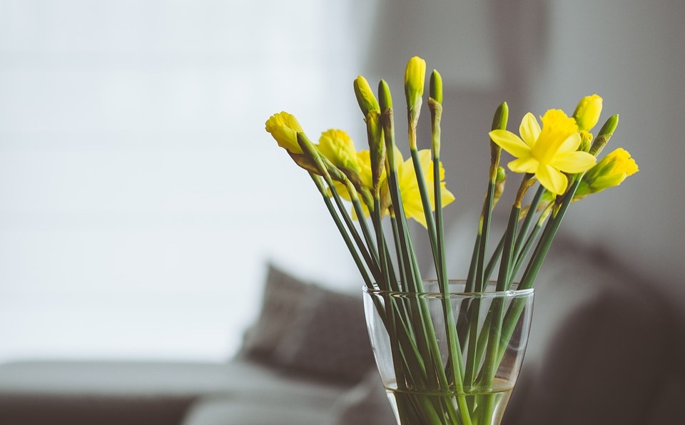 The Lazy Homeowner’s Guide to Spring-Cleaning